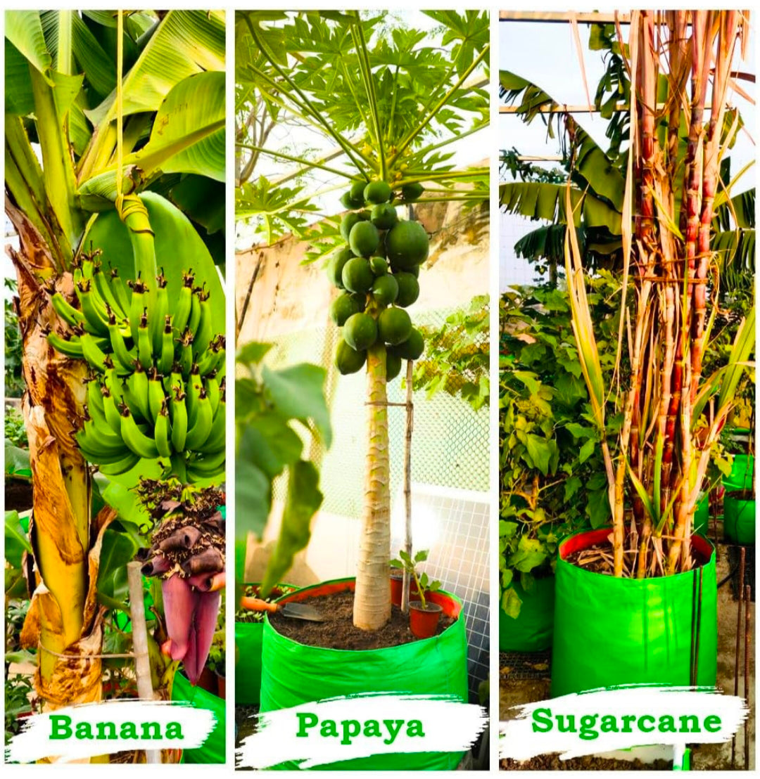 HDPE Plant Grow Bags - Eco Friendly ☘️