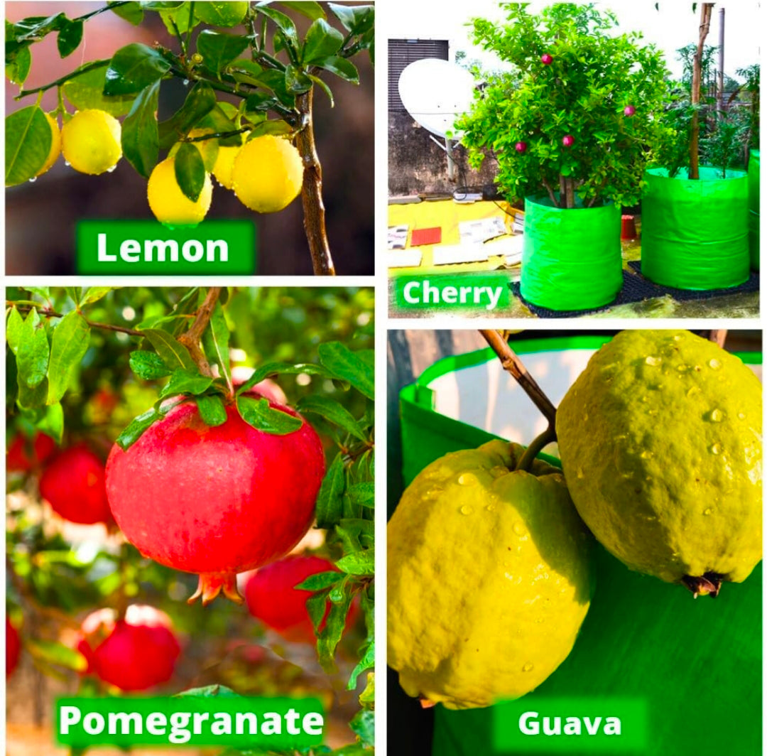 HDPE Plant Grow Bags - Eco Friendly ☘️